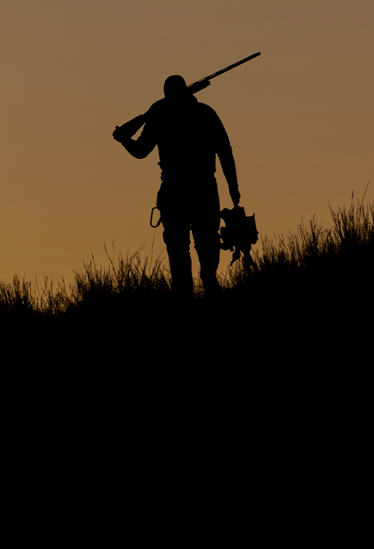 K2 Coolers | Professional Grade – K2Coolers